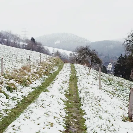 Bergische *