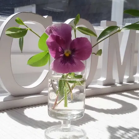 Bergische Сasa de vacaciones Engelskirchen