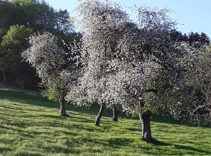 Bergische Vakantiehuis Engelskirchen